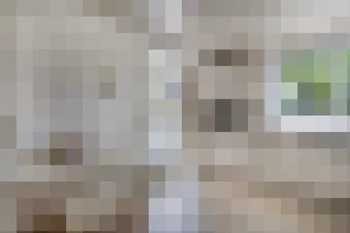 Bosscheweg 37 Den Dungen thumbnail 11