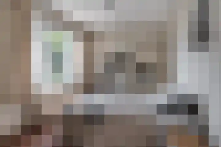 Bosscheweg 37 Den Dungen thumbnail 13