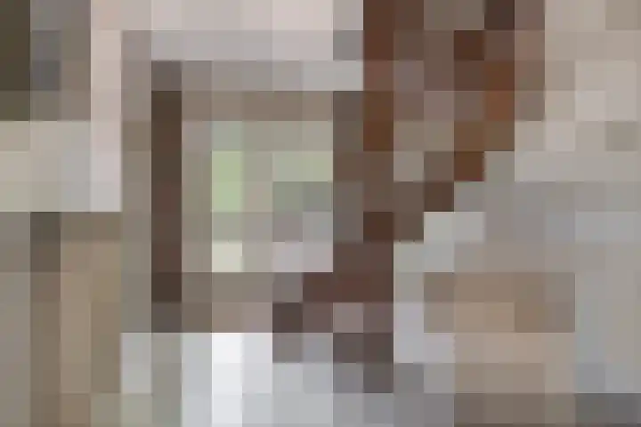 Bosscheweg 37 Den Dungen thumbnail 17