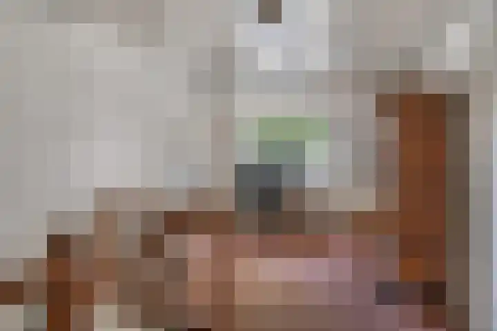 Bosscheweg 37 Den Dungen thumbnail 19