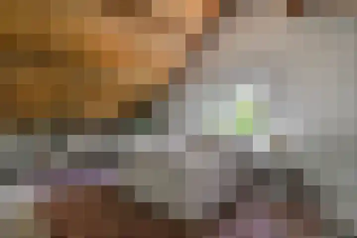 Bosscheweg 37 Den Dungen thumbnail 22