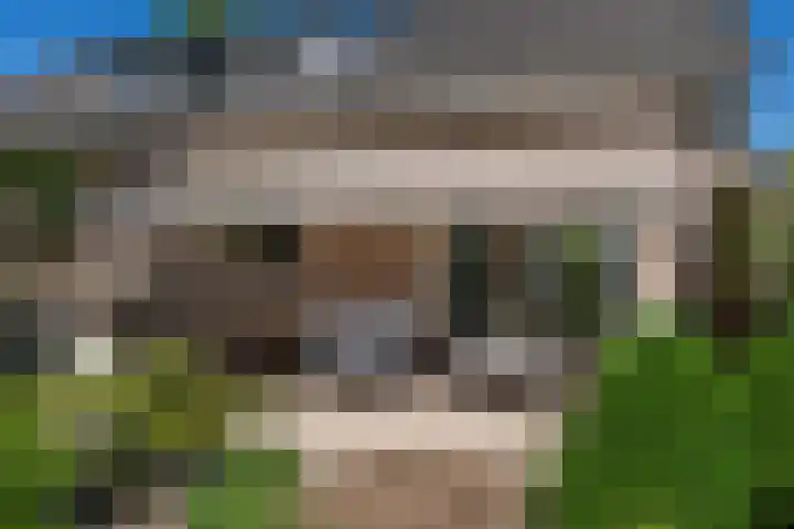 Bosscheweg 37 Den Dungen thumbnail 25