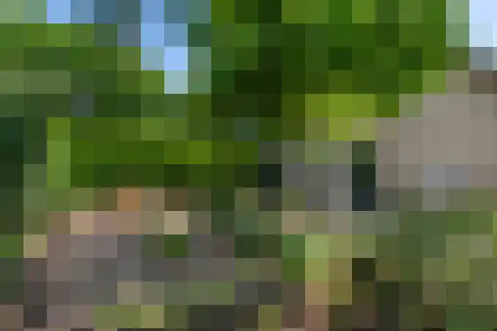 Bosscheweg 37 Den Dungen thumbnail 28