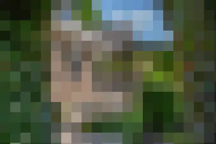 Bosscheweg 37 Den Dungen thumbnail 29