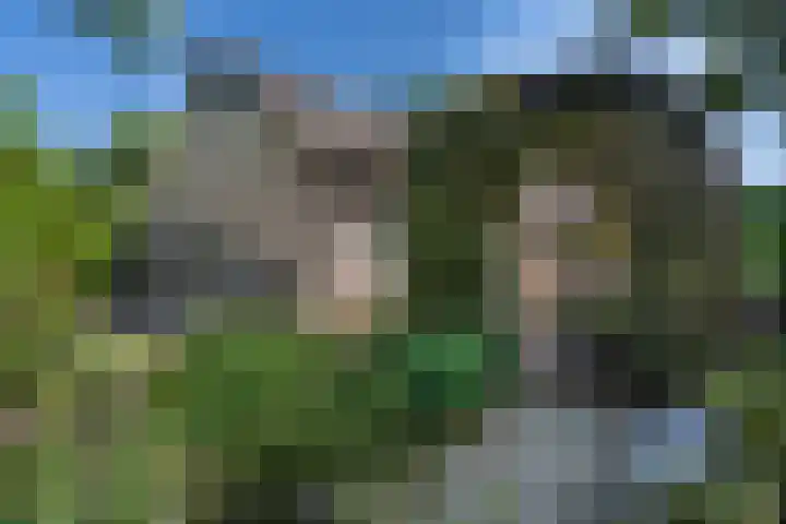 Bosscheweg 37 Den Dungen thumbnail 30