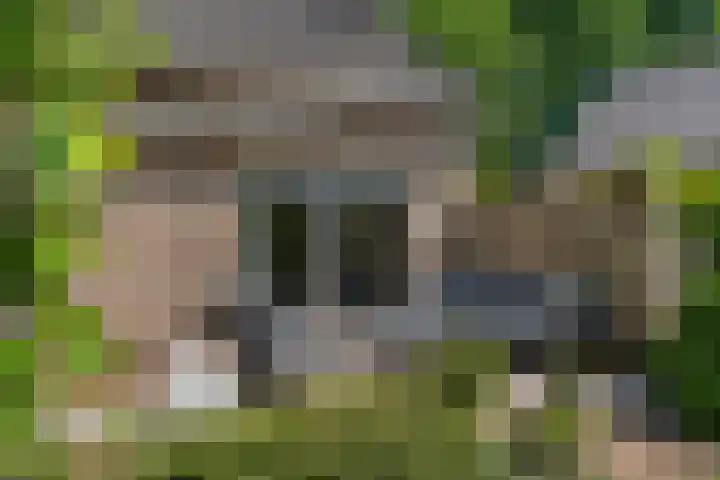 Bosscheweg 37 Den Dungen thumbnail 32