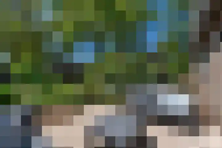 Bosscheweg 37 Den Dungen thumbnail 33