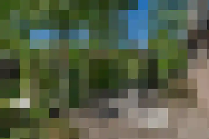 Bosscheweg 37 Den Dungen thumbnail 34