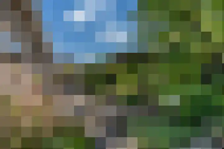 Bosscheweg 37 Den Dungen thumbnail 35
