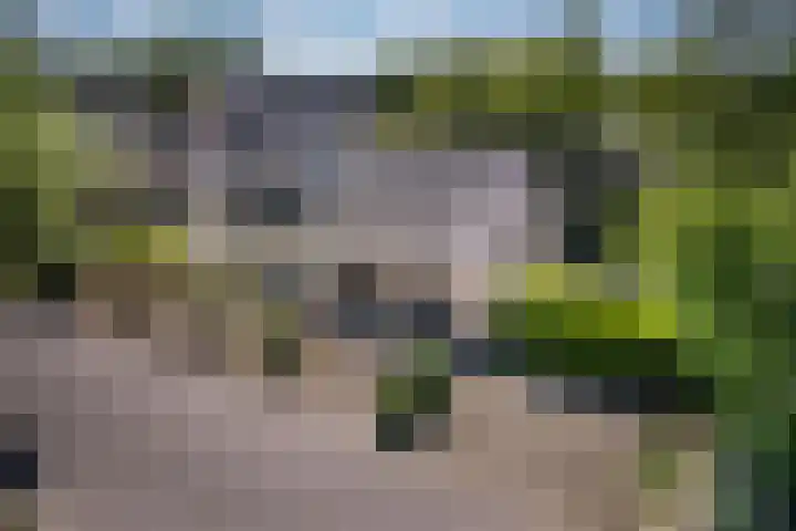 Bosscheweg 37 Den Dungen thumbnail 37