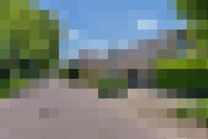Bosscheweg 37 Den Dungen thumbnail 42