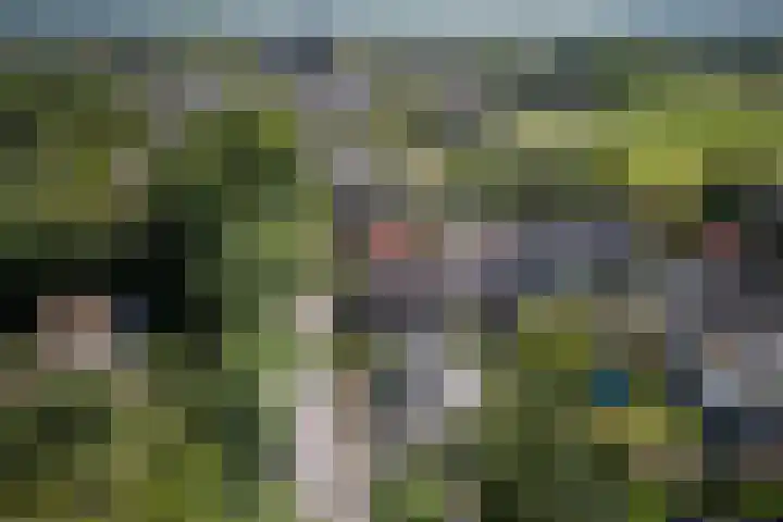 Bosscheweg 37 Den Dungen thumbnail 43