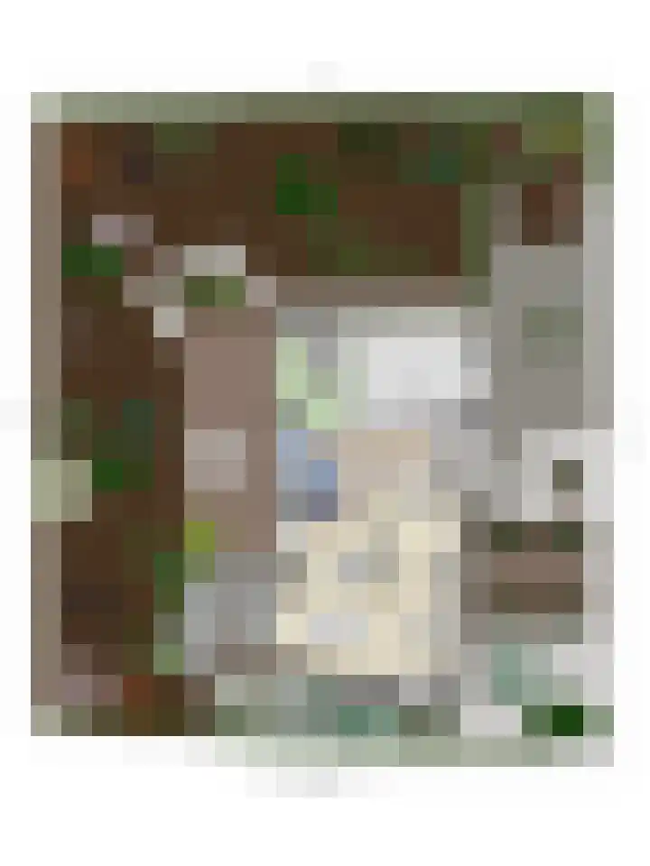 Bosscheweg 37 Den Dungen thumbnail 47