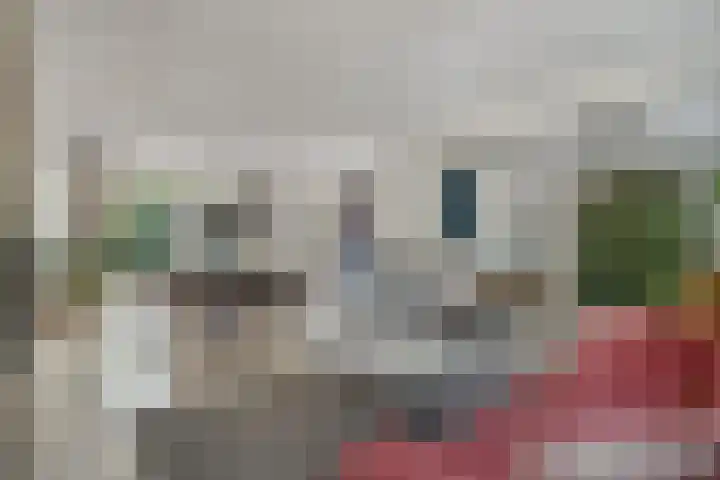 Bosscheweg 37 Den Dungen thumbnail 5