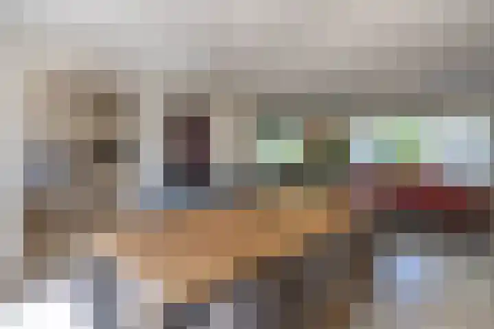 Bosscheweg 37 Den Dungen thumbnail 8