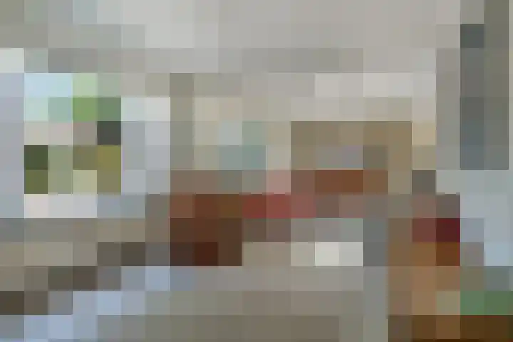 Bosscheweg 37 Den Dungen thumbnail 9