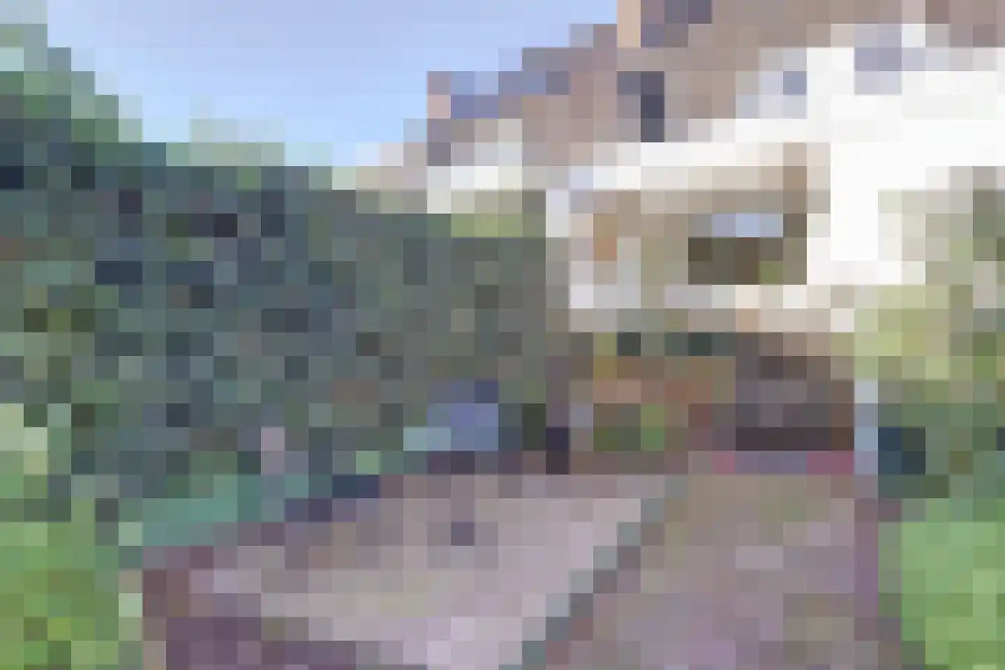 Bosscheweg 38 Vught thumbnail 33