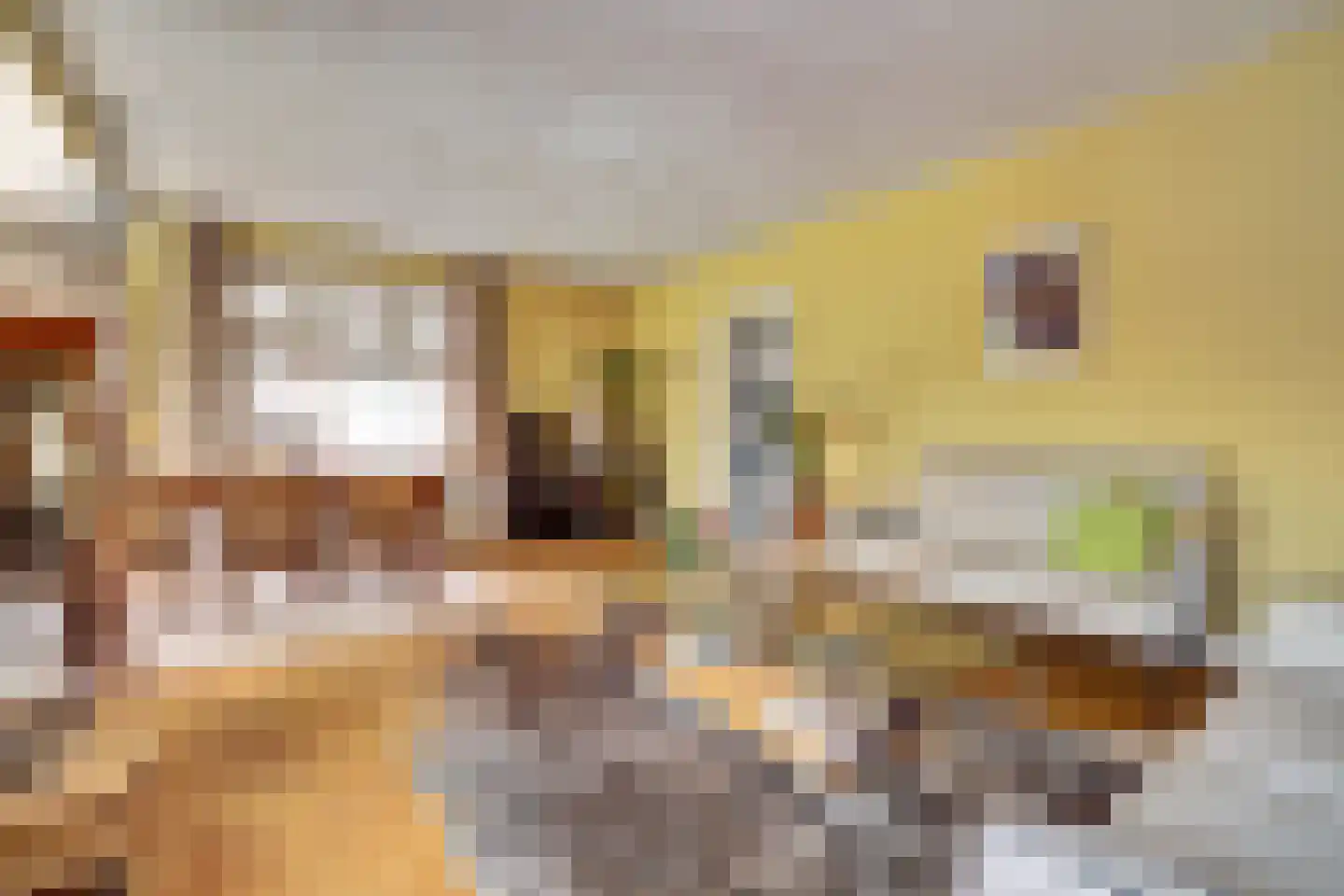Bosscheweg 38 Vught thumbnail 4