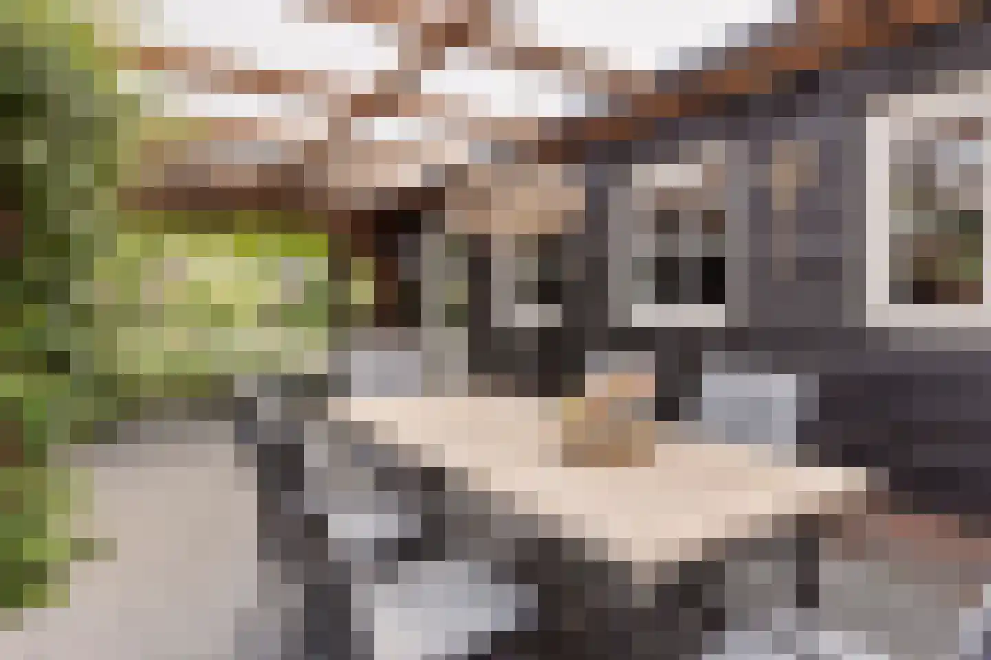 Bosscheweg 39 Berkel-Enschot thumbnail 52