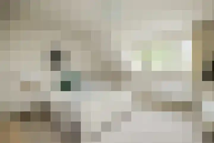 Bosscheweg 4 Tilburg thumbnail 14