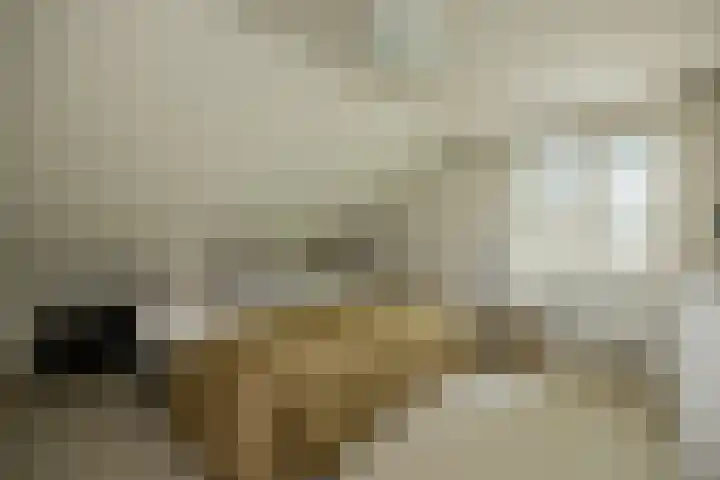 Bosscheweg 4 Tilburg thumbnail 15