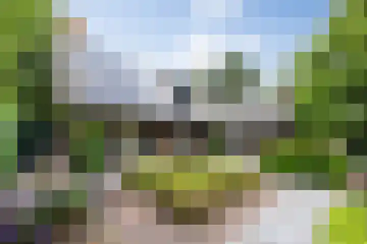 Bosscheweg 4 Tilburg thumbnail 16