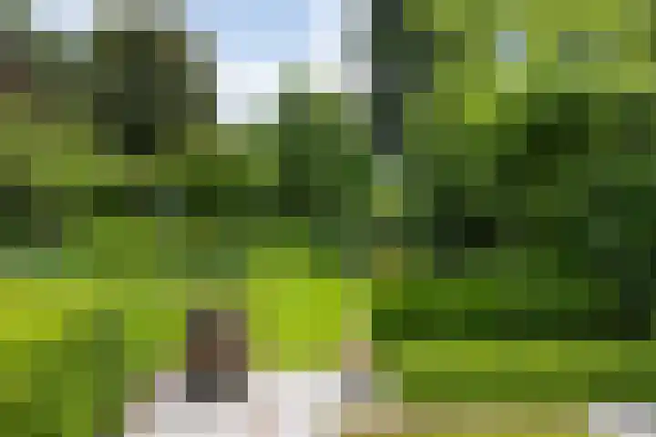 Bosscheweg 4 Tilburg thumbnail 20