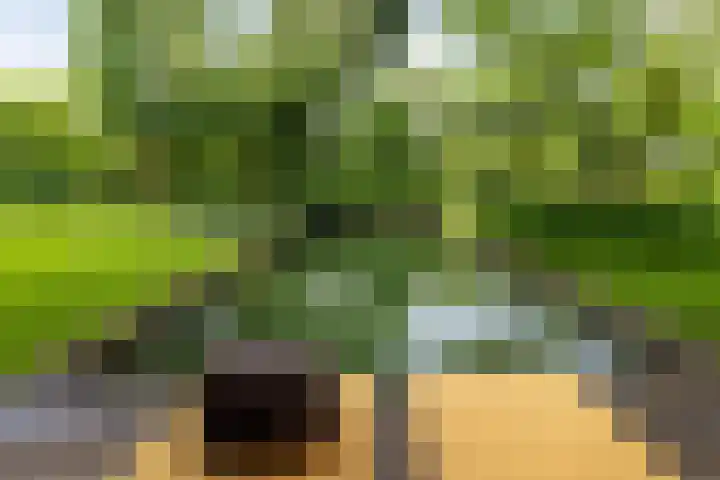Bosscheweg 4 Tilburg thumbnail 22