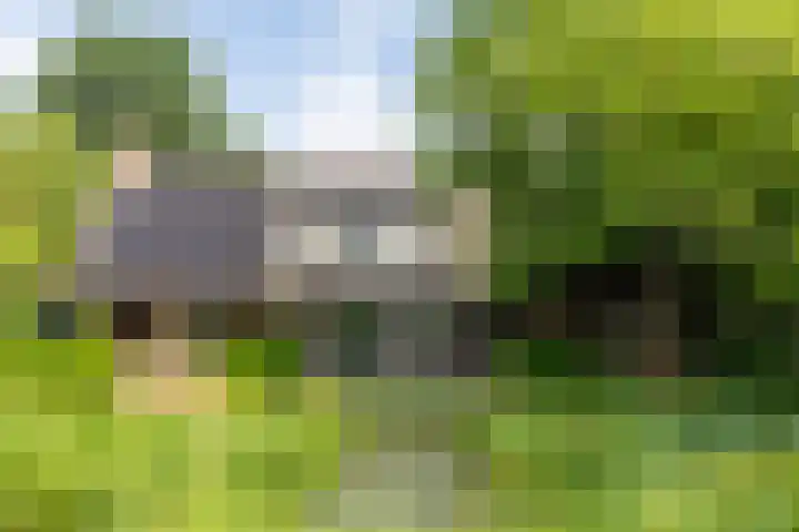 Bosscheweg 4 Tilburg thumbnail 24