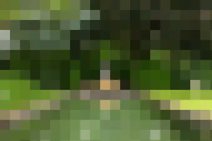 Bosscheweg 4 Tilburg thumbnail 25