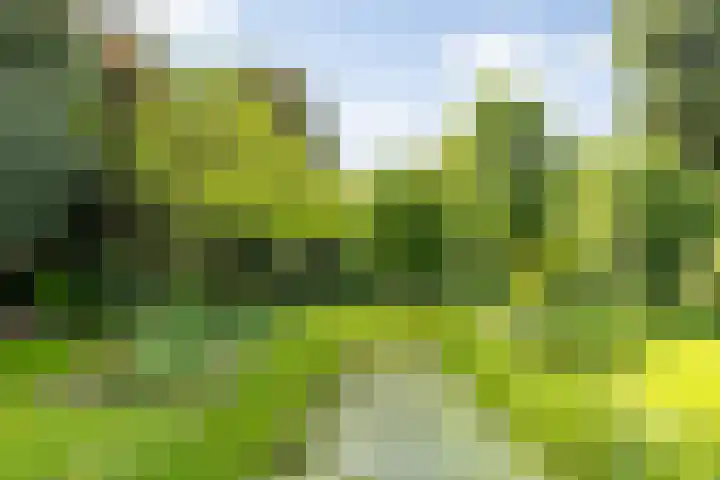 Bosscheweg 4 Tilburg thumbnail 26