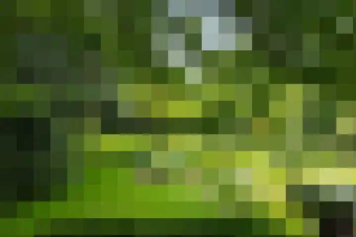 Bosscheweg 4 Tilburg thumbnail 27