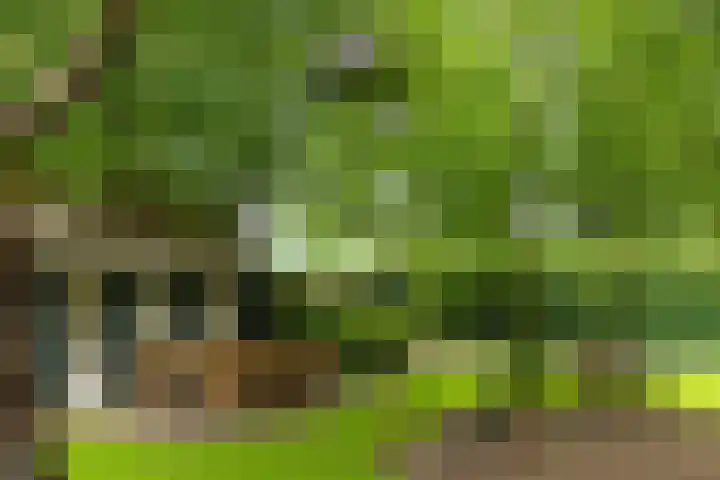 Bosscheweg 4 Tilburg thumbnail 29