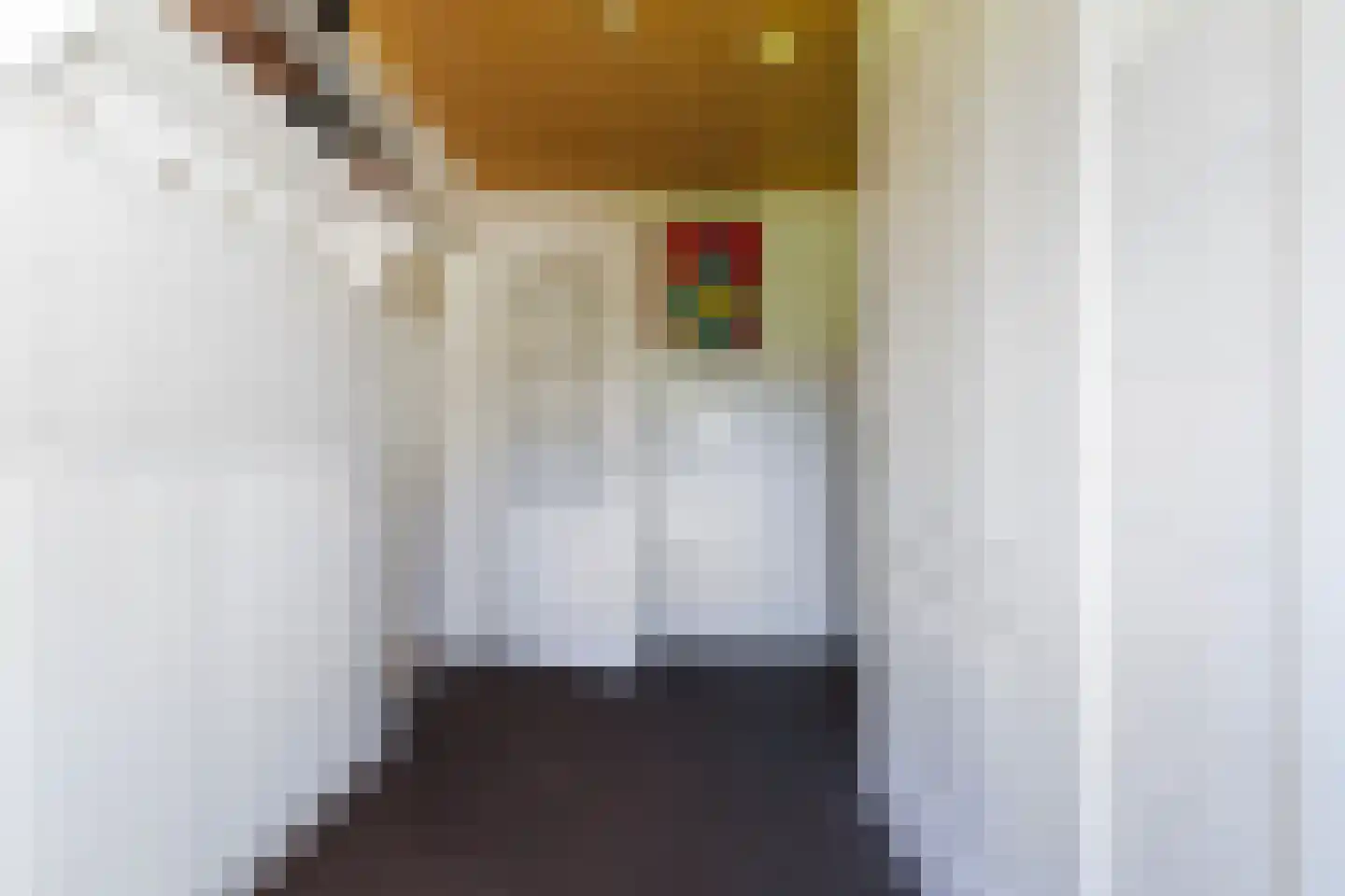 Bosscheweg 44 A Den Dungen thumbnail 21