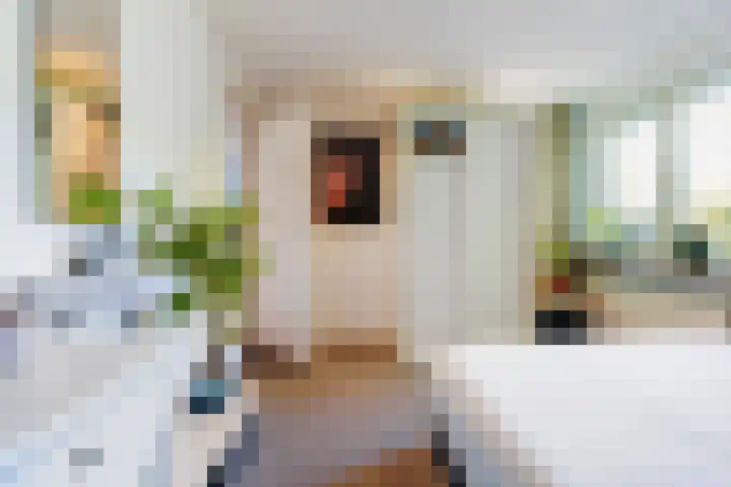 Bosscheweg 44 A Den Dungen thumbnail 30