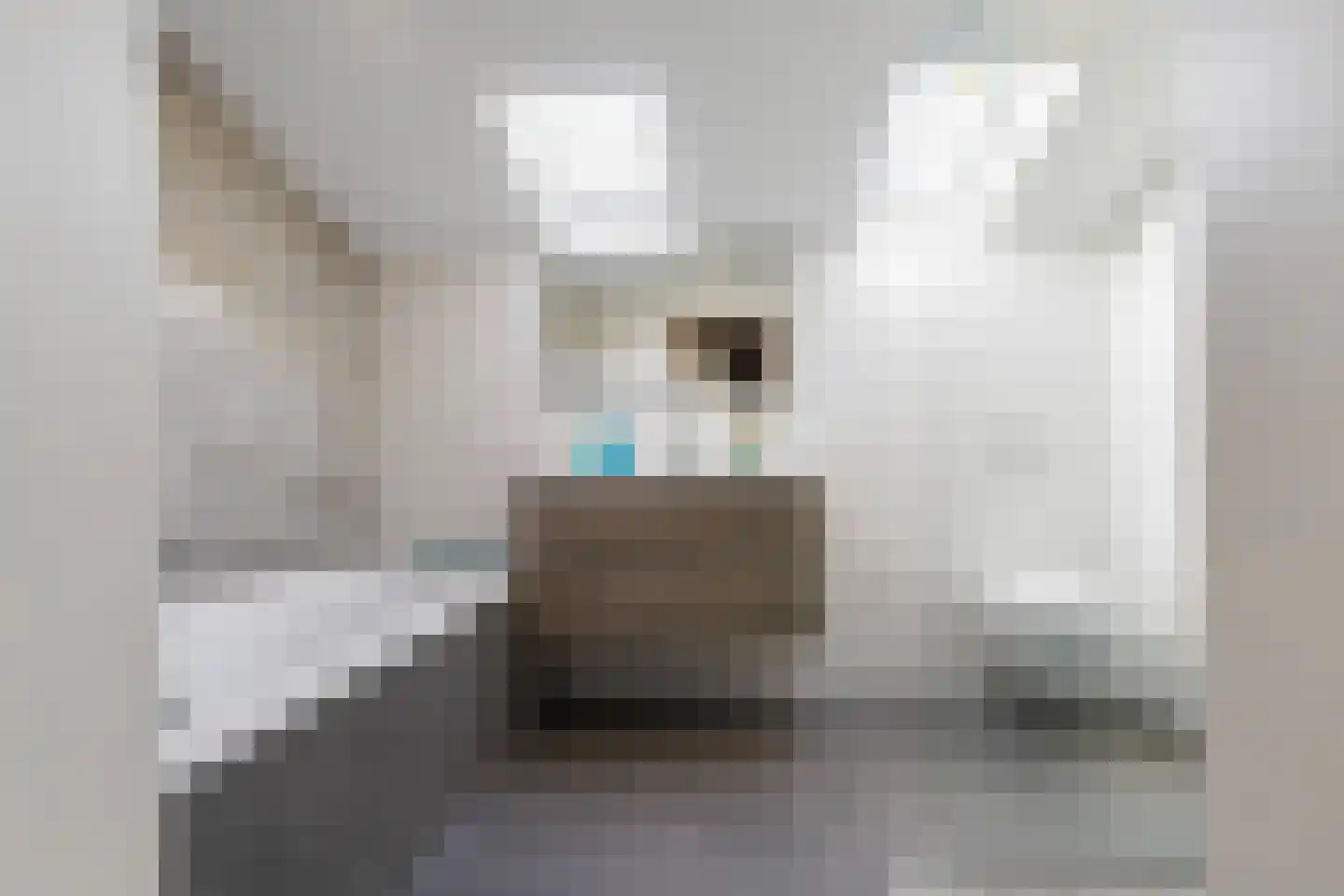 Bosscheweg 44 A Den Dungen thumbnail 32