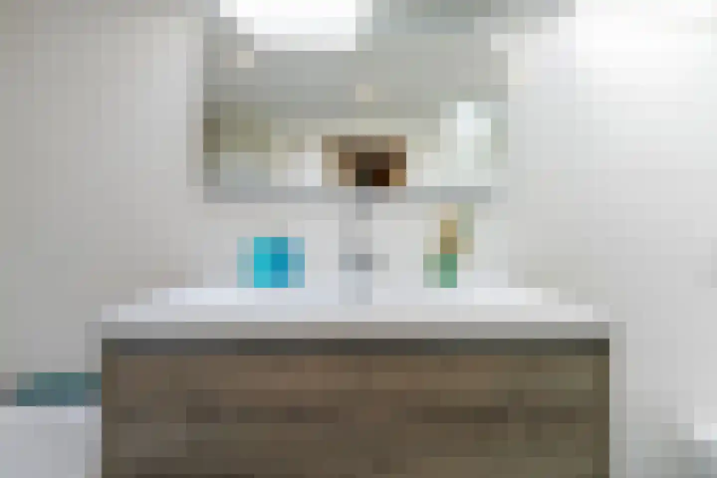 Bosscheweg 44 A Den Dungen thumbnail 34