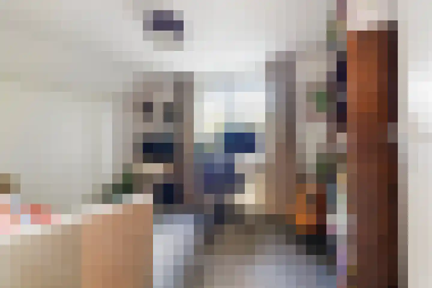 Bosscheweg 44 A Den Dungen thumbnail 36