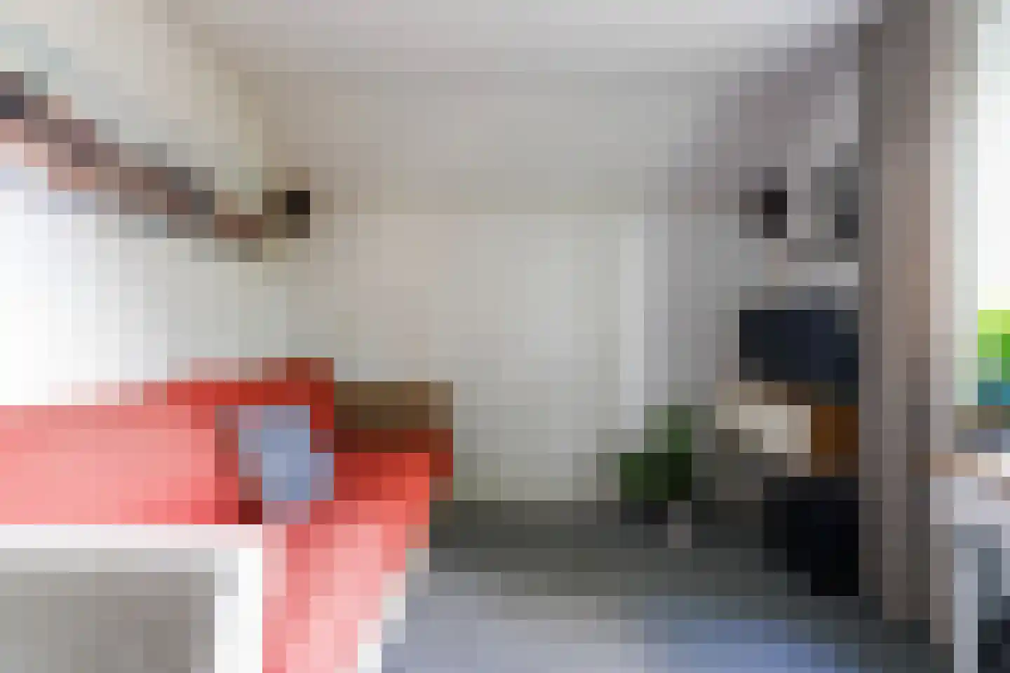 Bosscheweg 44 A Den Dungen thumbnail 37