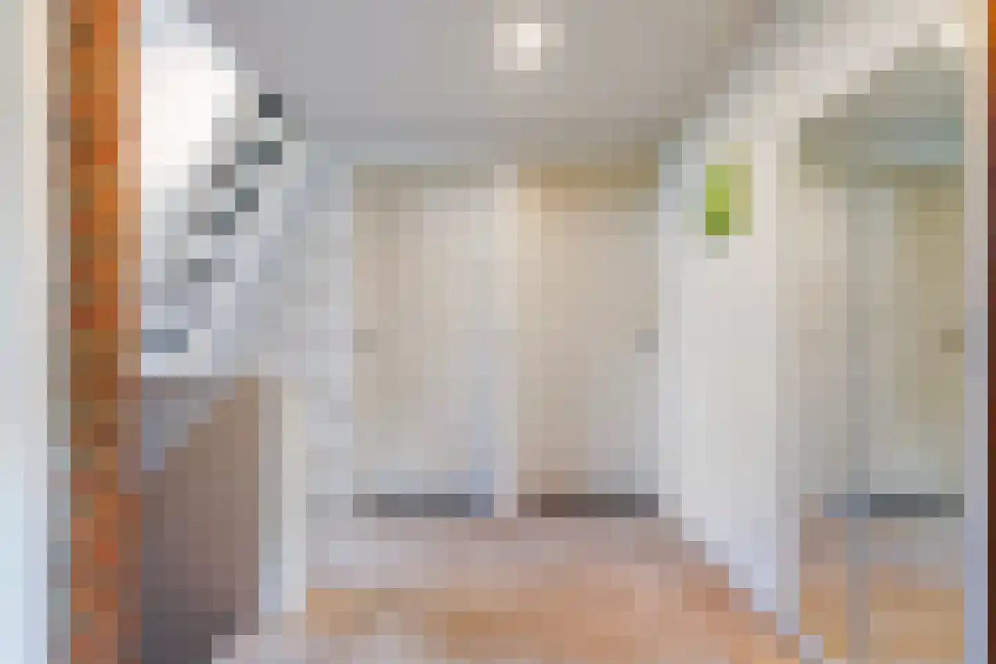 Bosscheweg 44 A Den Dungen thumbnail 38