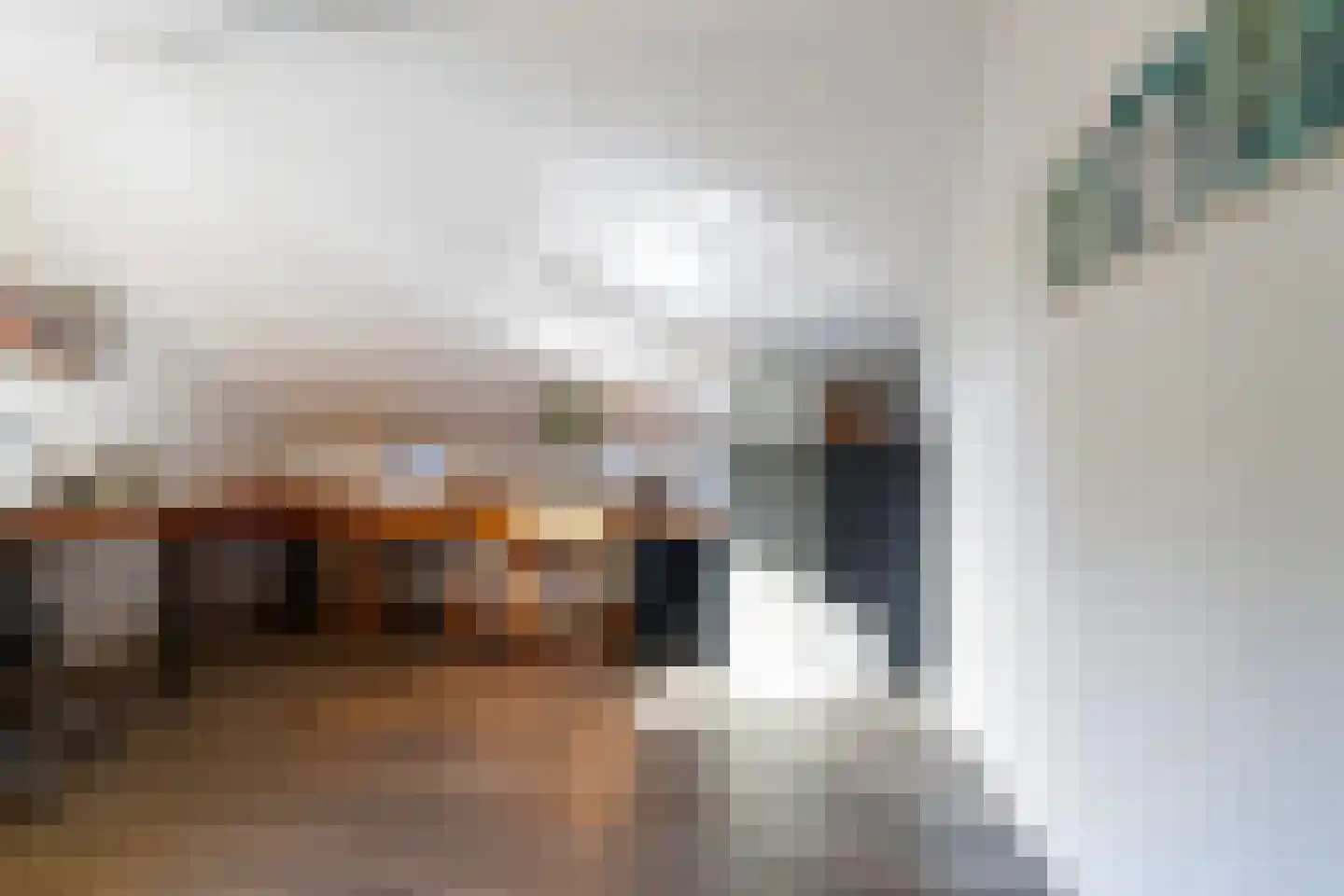 Bosscheweg 44 A Den Dungen thumbnail 41