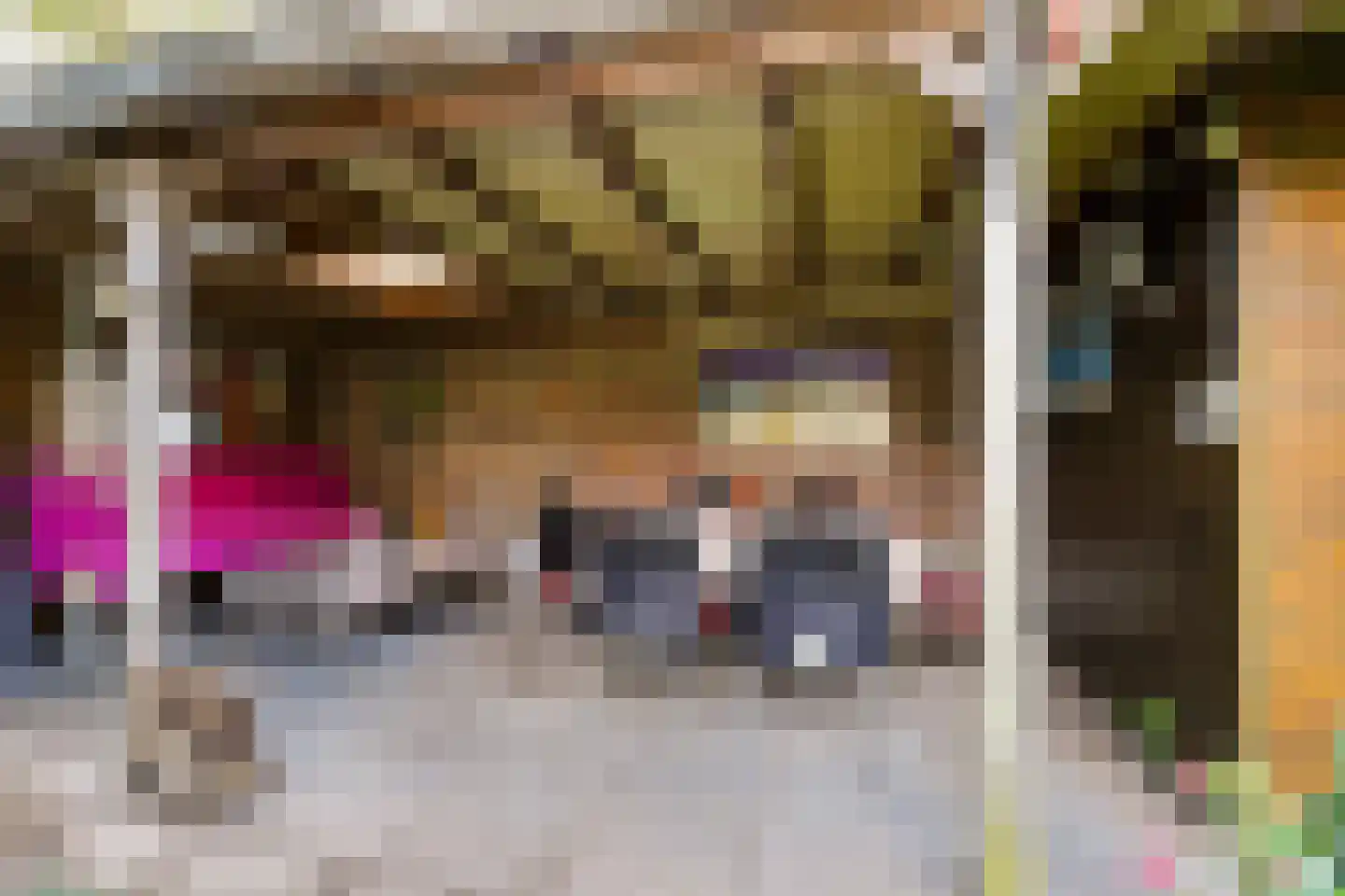 Bosscheweg 44 A Den Dungen thumbnail 49