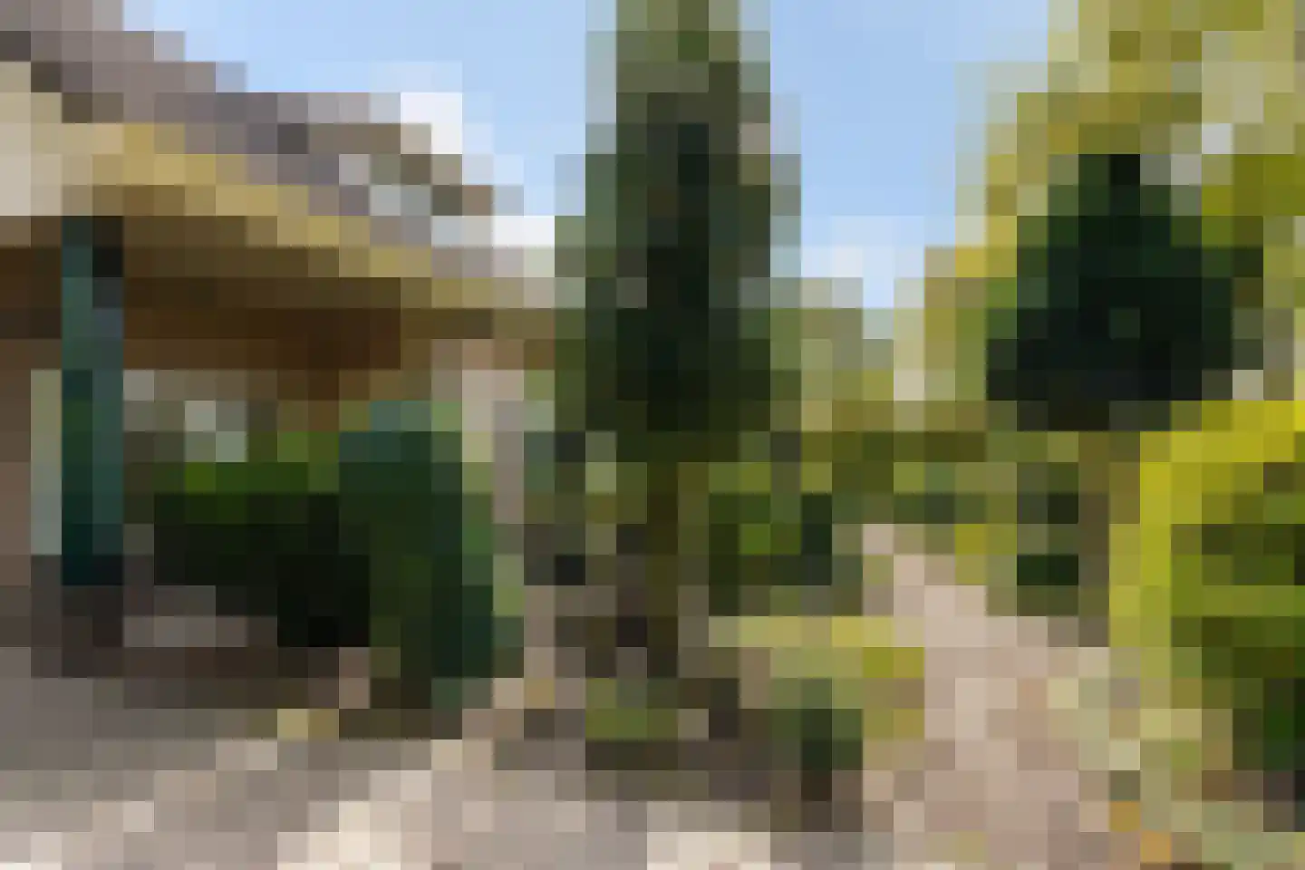 Bosscheweg 44 A Den Dungen thumbnail 5
