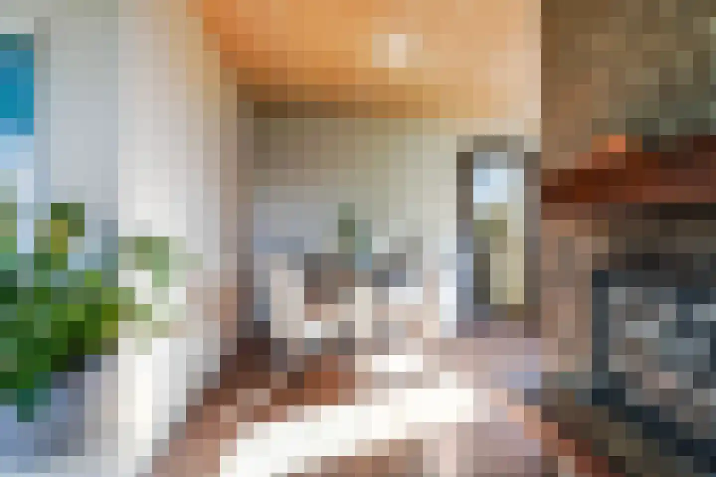 Bosscheweg 44 A Den Dungen thumbnail 58