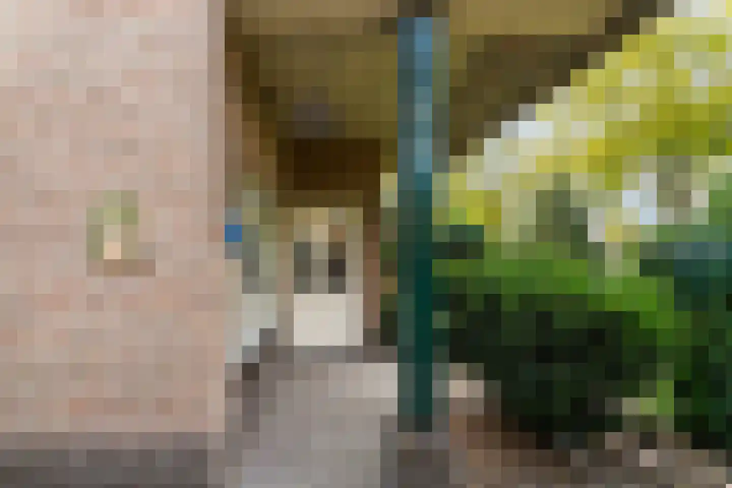 Bosscheweg 44 A Den Dungen thumbnail 6
