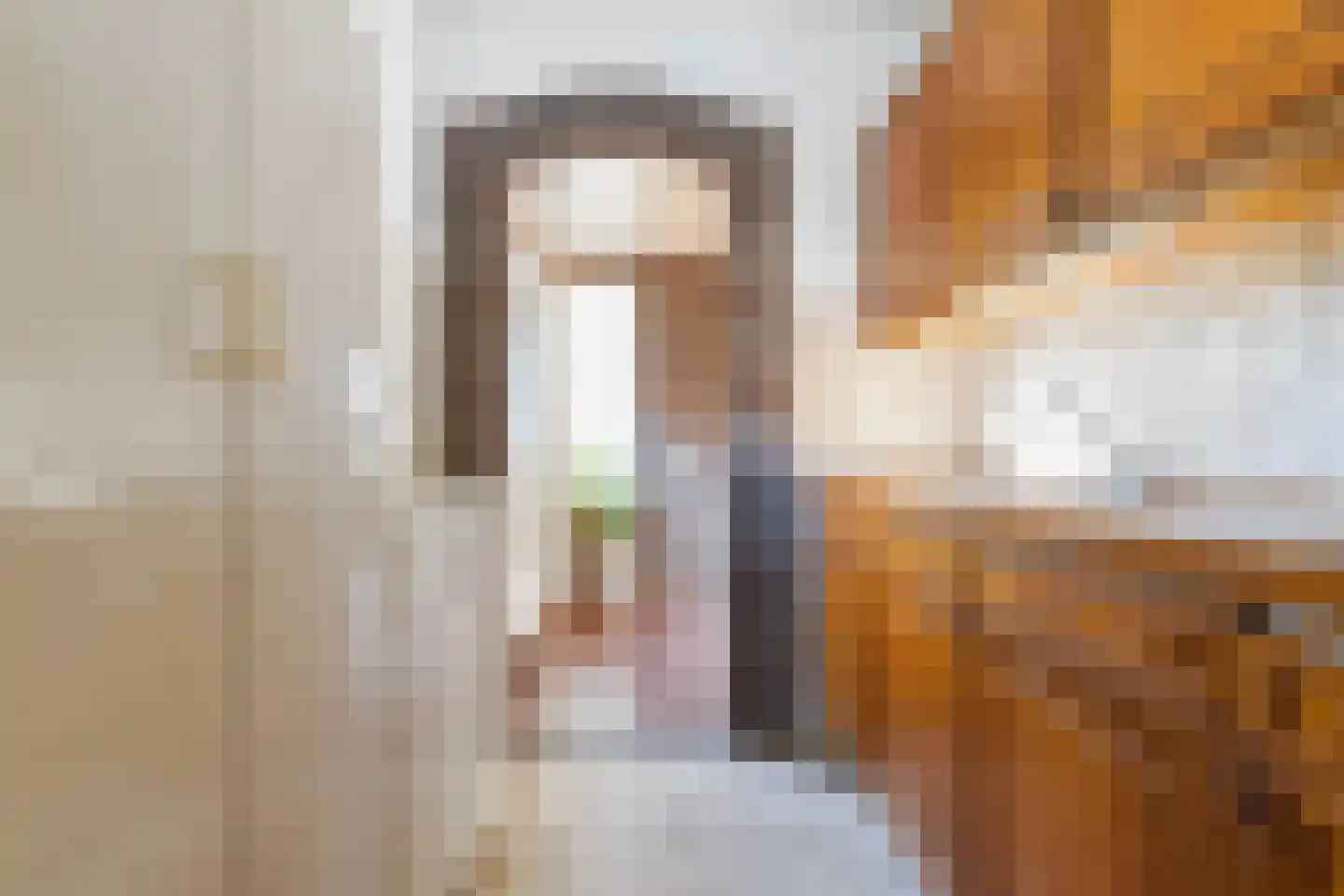 Bosscheweg 44 A Den Dungen thumbnail 63