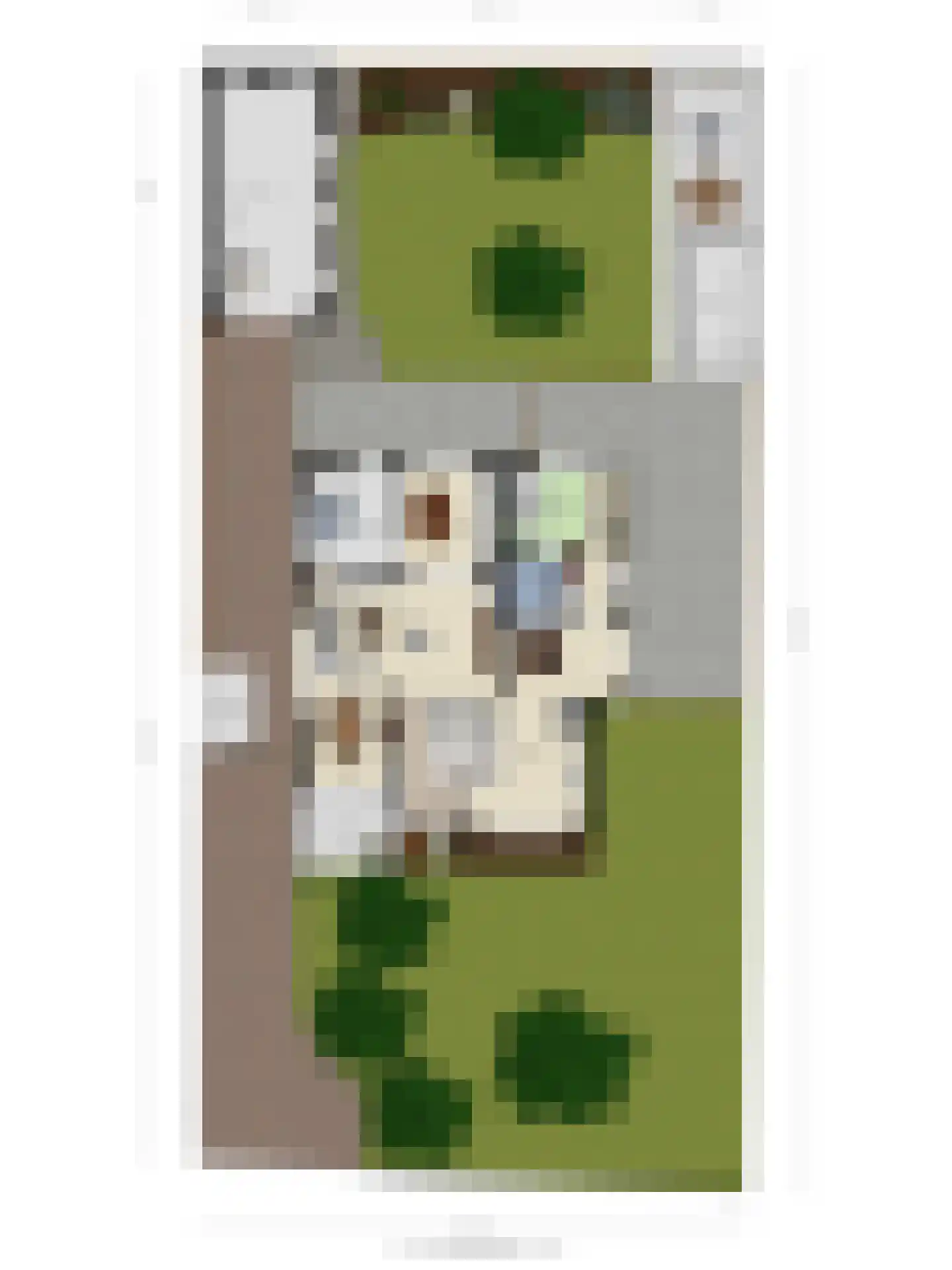 Bosscheweg 44 A Den Dungen thumbnail 69