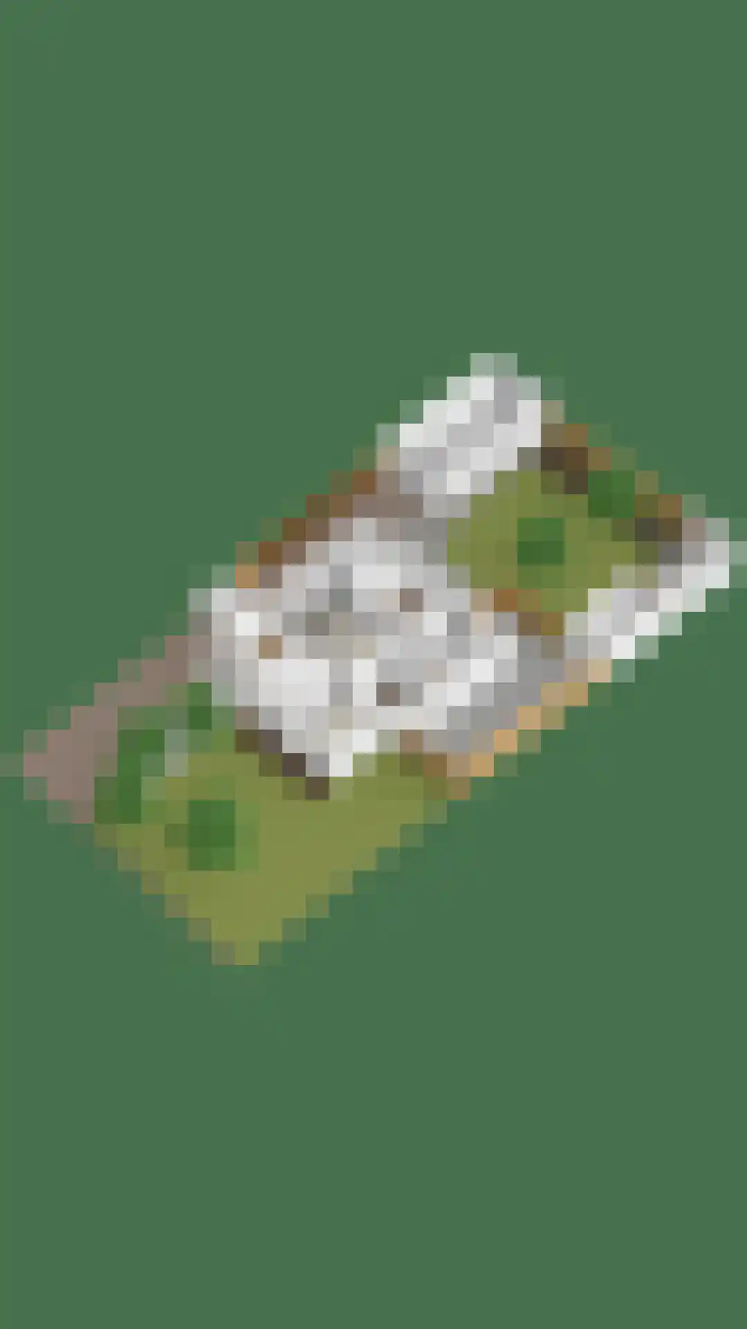 Bosscheweg 44 A Den Dungen thumbnail 70