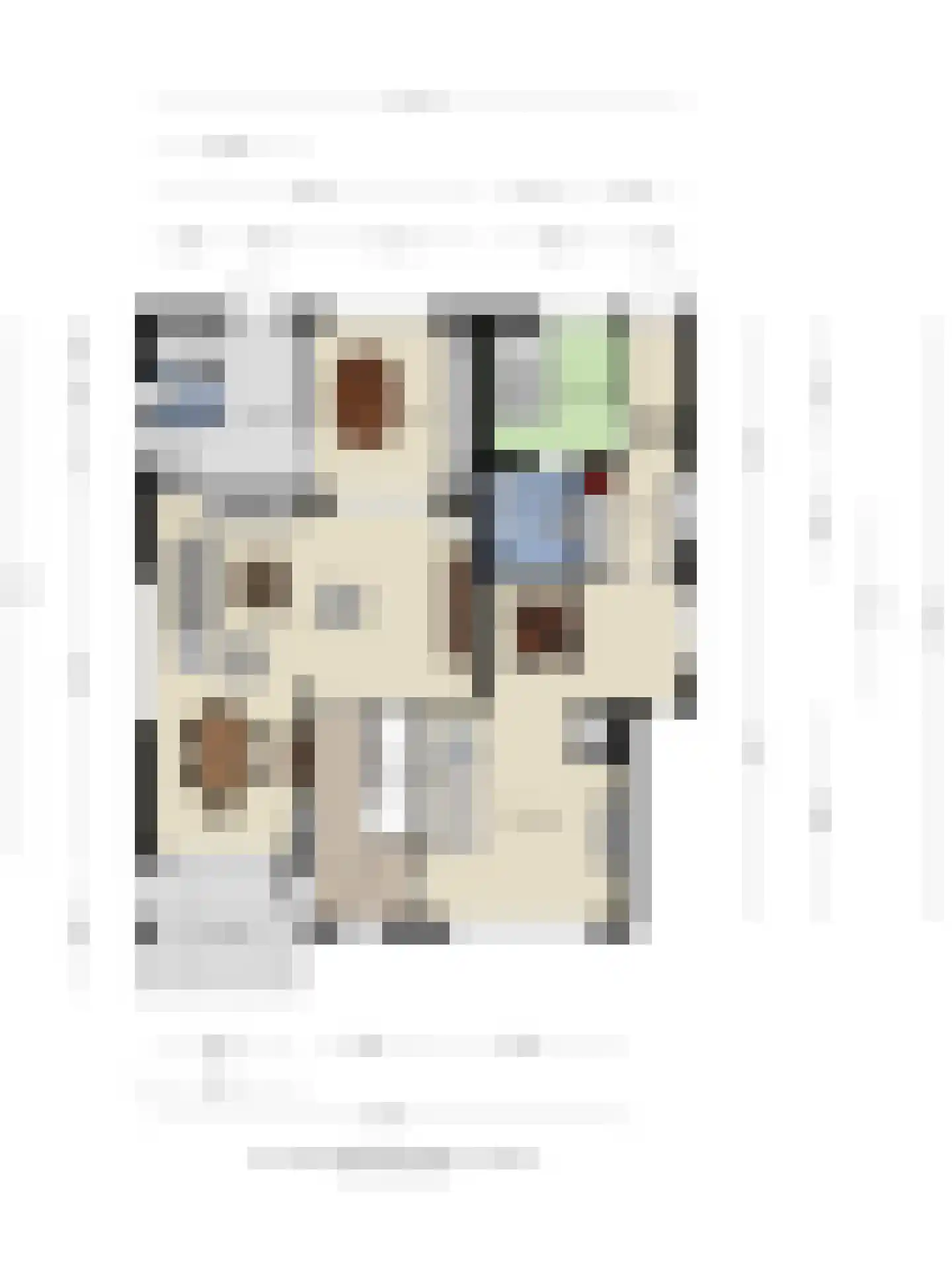 Bosscheweg 44 A Den Dungen thumbnail 71