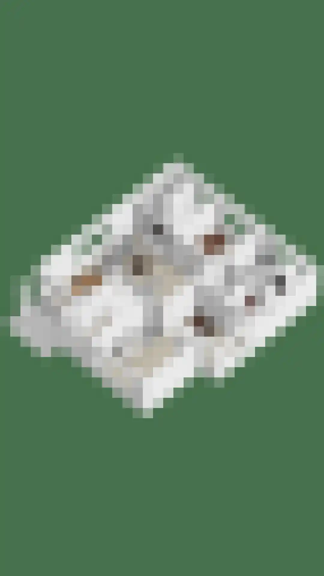 Bosscheweg 44 A Den Dungen thumbnail 72